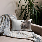 Your Pet Pillow