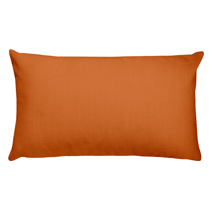 Chocolate throw outlet pillows