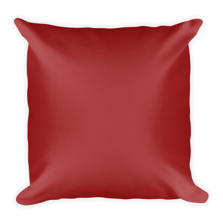 Brown Square Pillow