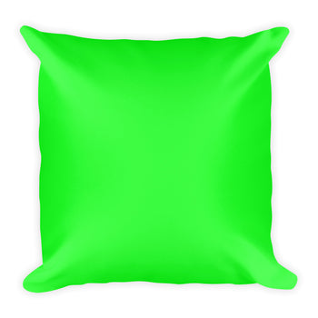Lime Square Pillow
