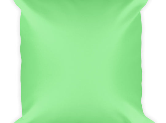 Light Green Square Pillow