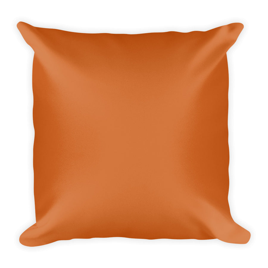 Chocolate Square Pillow